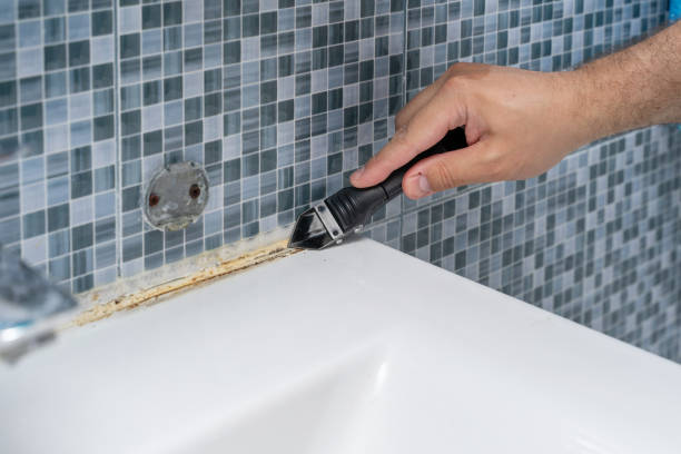 Best Best Mold Removal Companies  in College, AK